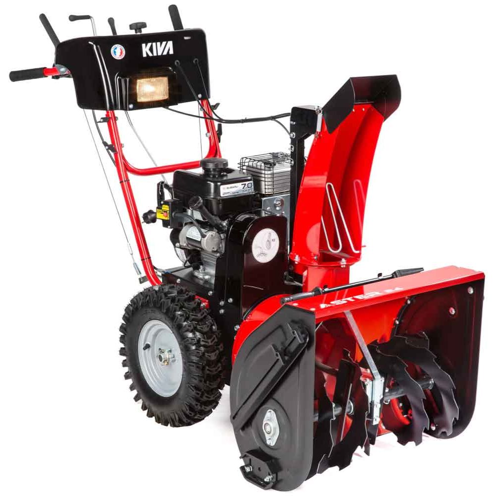 FRAISE A NEIGE ASTER 24