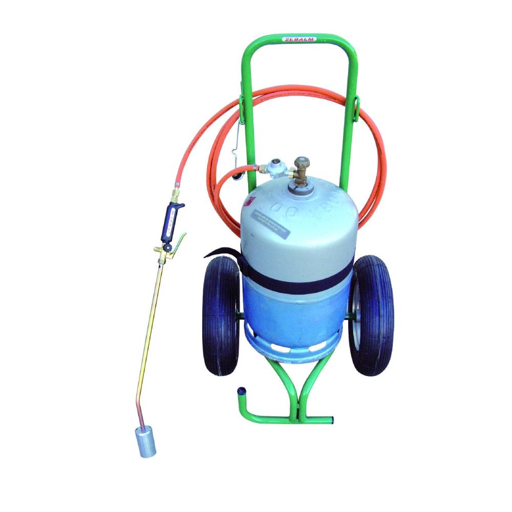 DESHERBEUR THERMIQUE CHAROFLAM 38