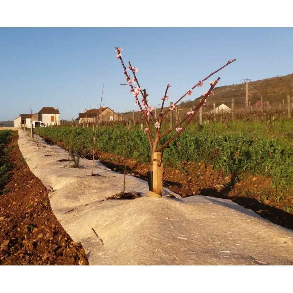 PAILLAGE DUOPROTECT 450G/M2