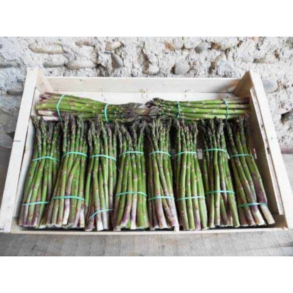 ELASTIQUE - BRACELETS VERT 50X5