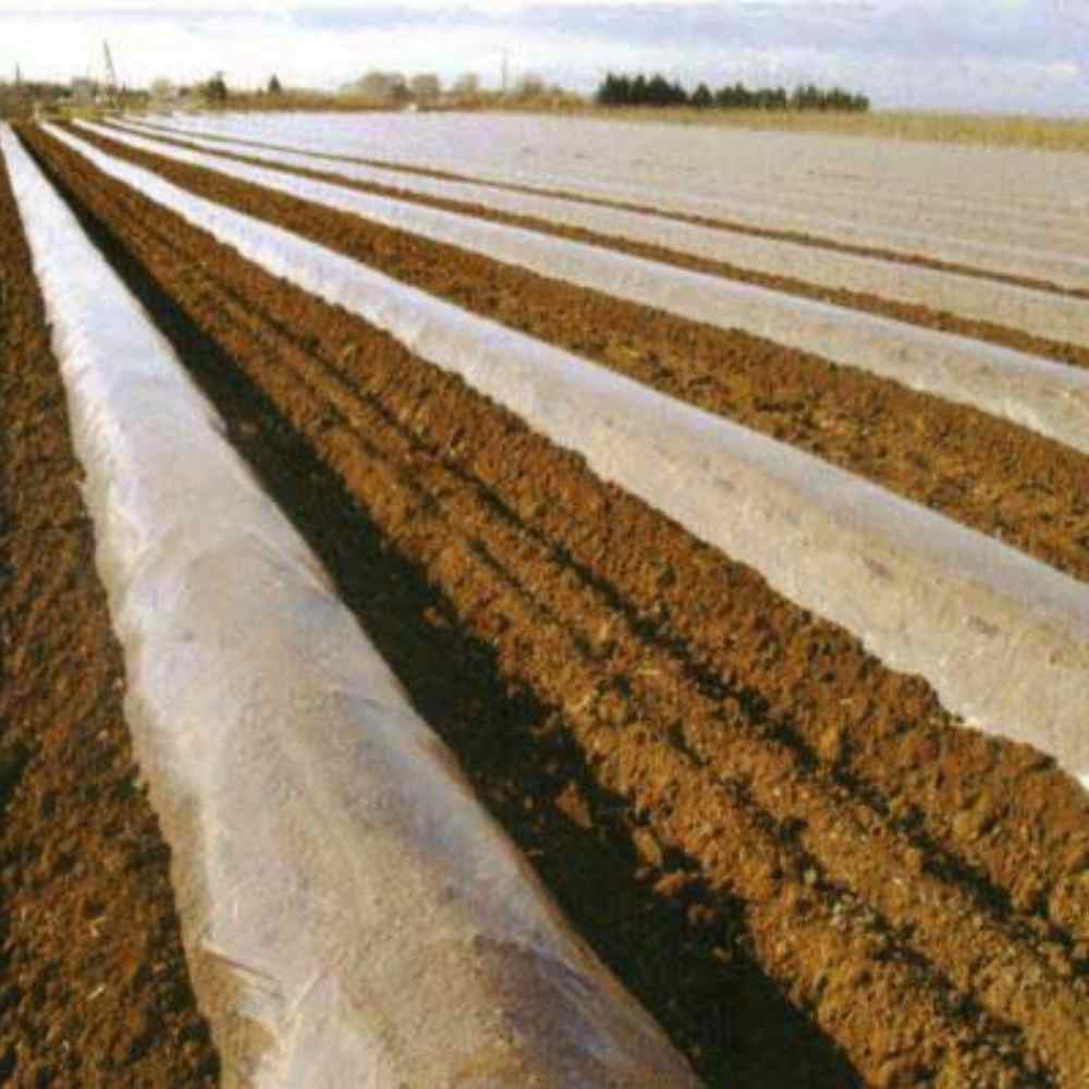 FILM THERMASPERGE ANTI BUEE