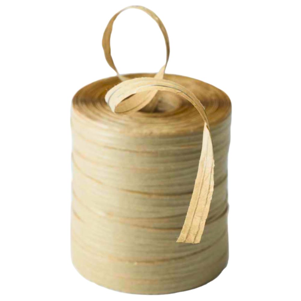 PELOTE FIL A LIER BIOFIX - 2 FILS