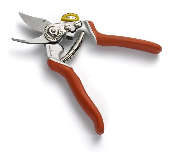 SECATEUR A COUPE FRANCHE OGAS T:S-M