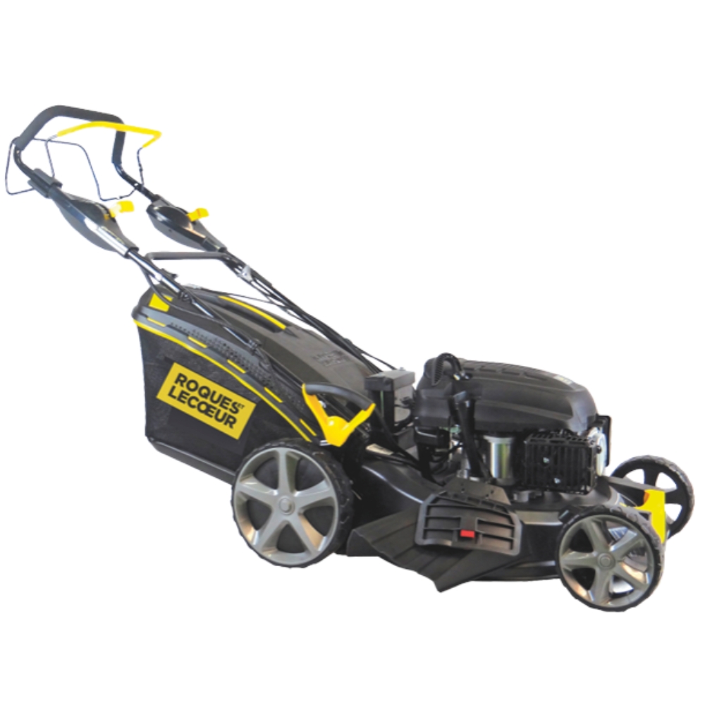 TONDEUSE ROQUES ET LECOEUR RL8530VE