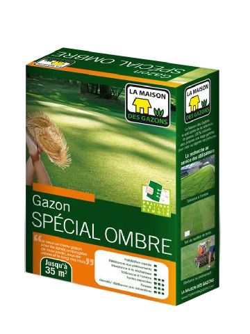 GAZON OMBRE TR4 - BTE 1 KG